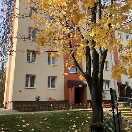 Apartament Krakowska Bochnia Exteriör bild